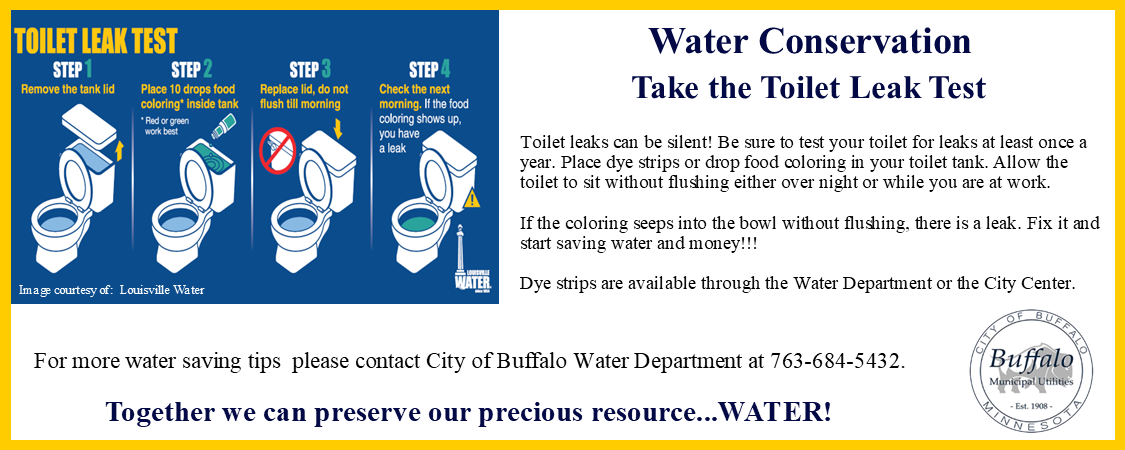 Check Your Toilet for Leaks