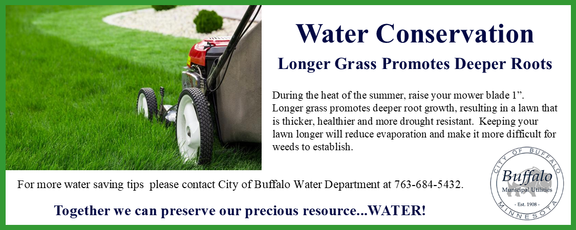 Mow Your Lawn Higher in Summer