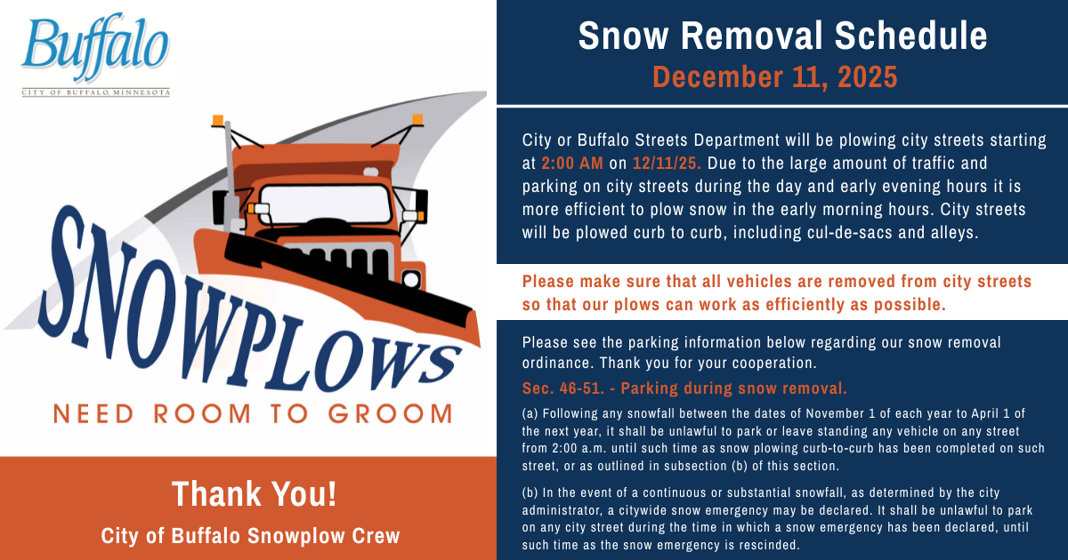 Downtown Snow Removal
